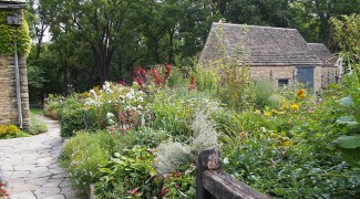 Growing a Cottage Garden in Containers Featured Image