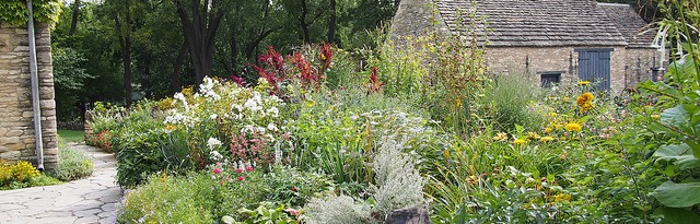 growing a cottage garden in containers - featured image