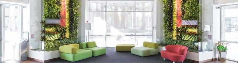Biophilic Design