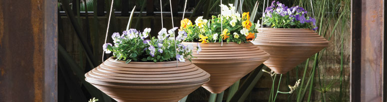 Hanging Planters