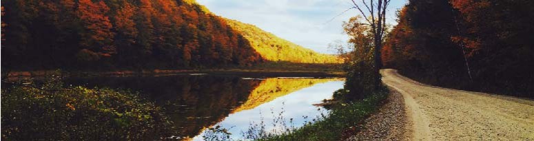 Nature Walk