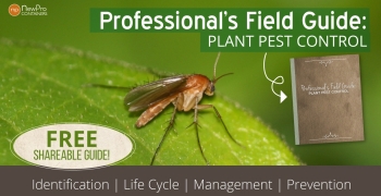 PestGuideGraphic