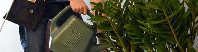 Plant Technician