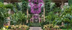 lush green foliage lining an atrium walkway