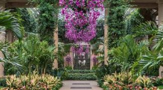 5 Atrium Maintenance Tips for Interiorscapers Featured Image