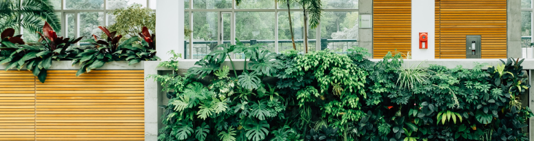 a green wall with natural accents as a competitive bid project