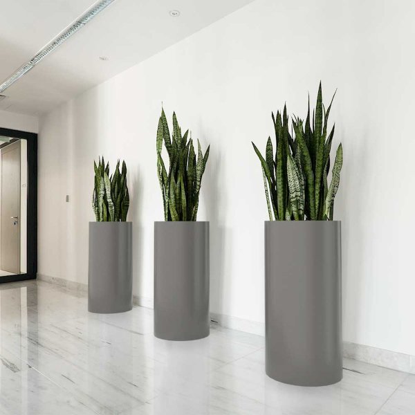 Intercape Design Why Interiorscape Design Matters for First Impressions | NewPro