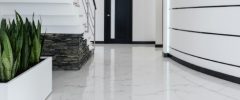 A modern hallway decorated with snake plants in white rectangular planters