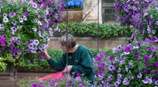 Four Ways Plant Technicians Can Avoid Social Faux Pas Featured Image