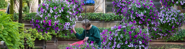 plant technician