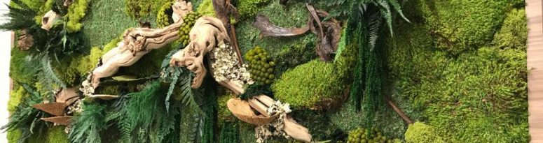 moss wall trend