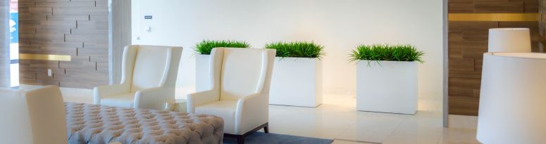A modern lobby with white rectangular planters filled with lush green foliage.
