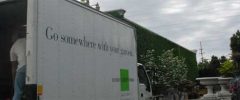 Plant care specialists unloading greenery in the summer heat
