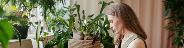 An interiorscape professional conducting a mid-year business review at a desk with indoor plants