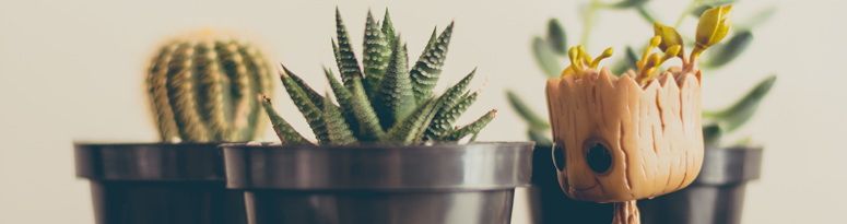 plant people