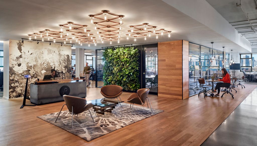 prolific interactive offices showcasing biophilic design in the workplace with a green wall and natural wood textures