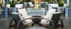 Large potted trees and greenery-filled planters in a luxurious indoor space create a relaxing and elegant ambiance.