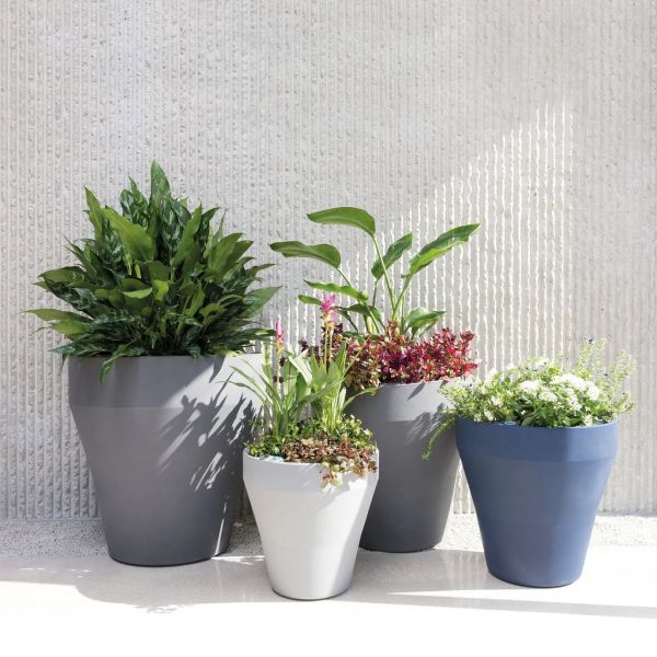 A group of self-watering planters filled with assorted plants and flowers
