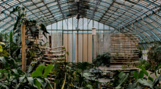 Should Your Interiorscape Business Grow Its Own Tropical Plants in a Greenhouse? Featured Image