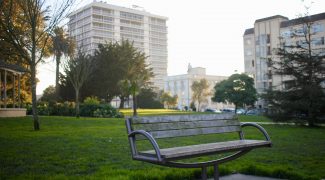 The Benefits of Urban Green Spaces Featured Image